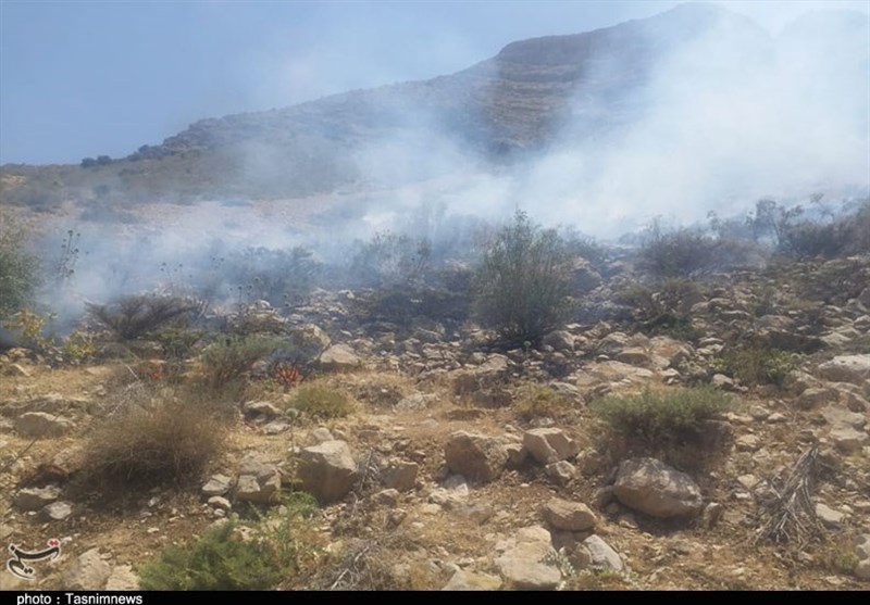 آتش سوزی جنگل ها و مراتع , 