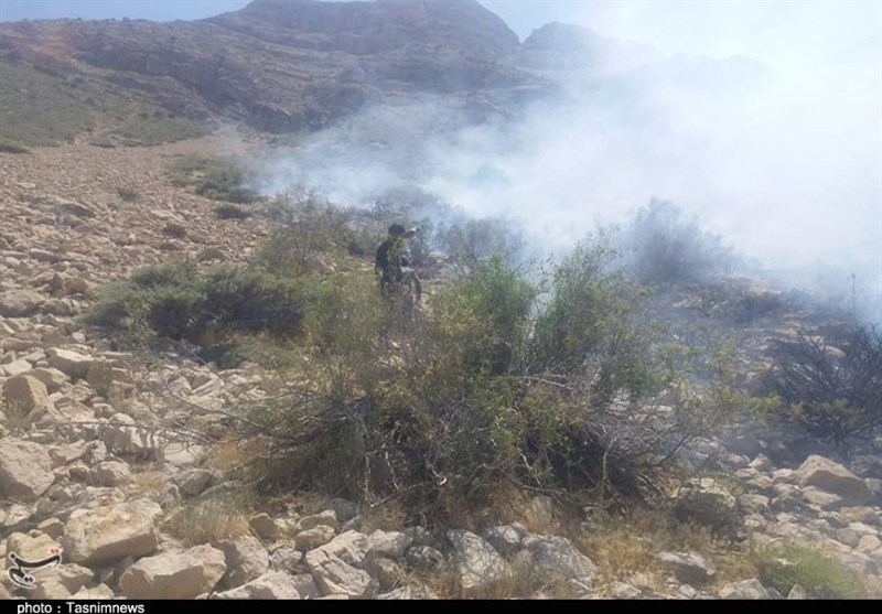 آتش سوزی جنگل ها و مراتع , 