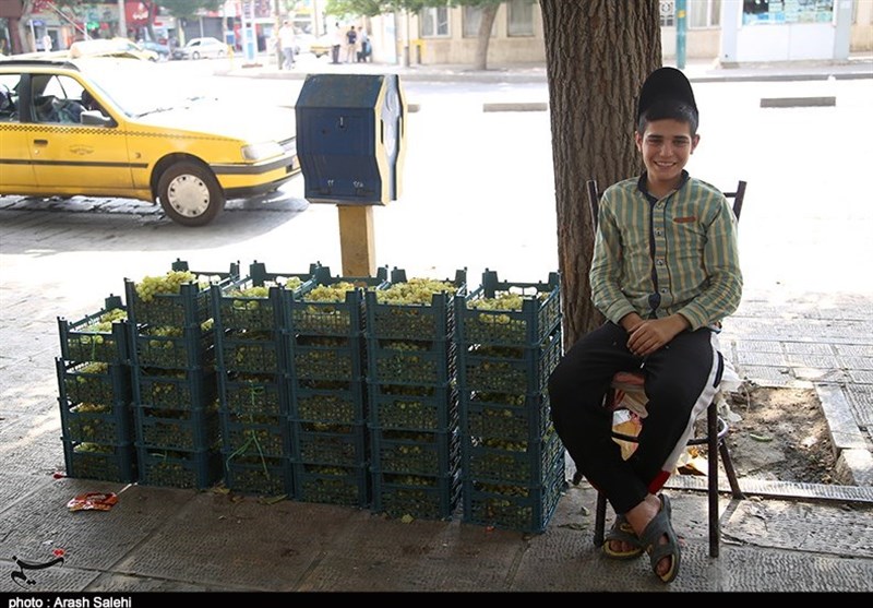 وزارت بهداشت , ویروس کرونا , بازار , استانداری قزوین , شورای اسلامی استان قزوین , 