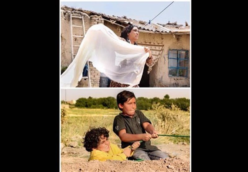 سینما , سینمای ایران , سینمای جهان , هالیوود , 