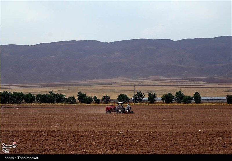 کشاورزی , استانداری خراسان شمالی , قیمت نان , عکس , 