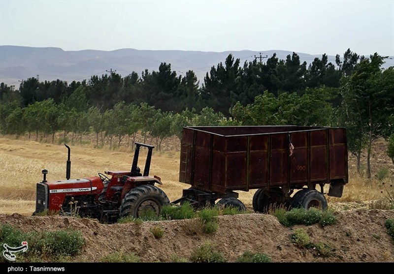 کشاورزی , استانداری خراسان شمالی , قیمت نان , عکس , 