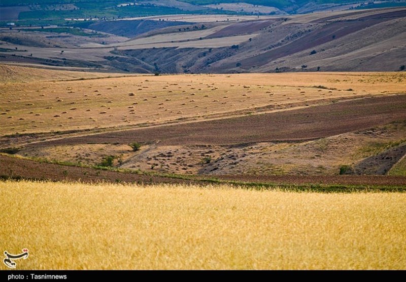 کشاورزی , استانداری خراسان شمالی , قیمت نان , عکس , 