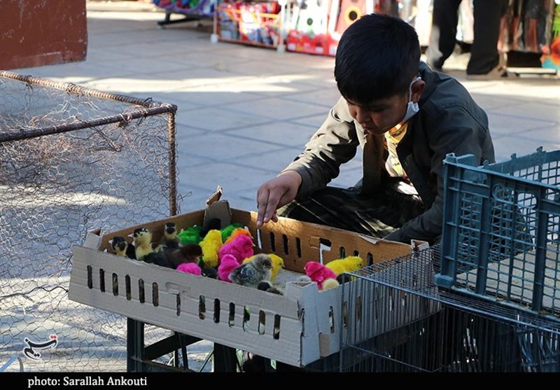 استان کرمان , ویروس کرونا , بیمارستان , 