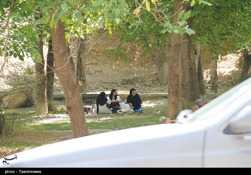 ویروس کرونا , وزارت بهداشت ,