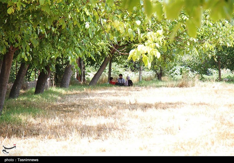 ویروس کرونا , وزارت بهداشت ,