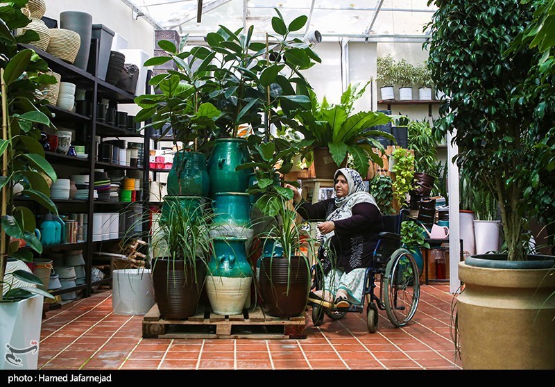 سازمان بهزیستی کشور , ویروس کرونا , 