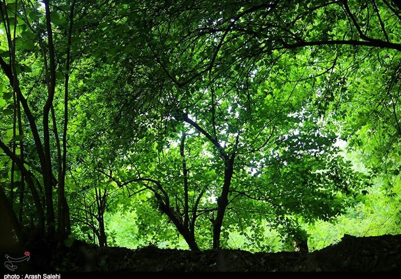 زندگی روستایی , اکوتوریسم , استانداری قزوین , 