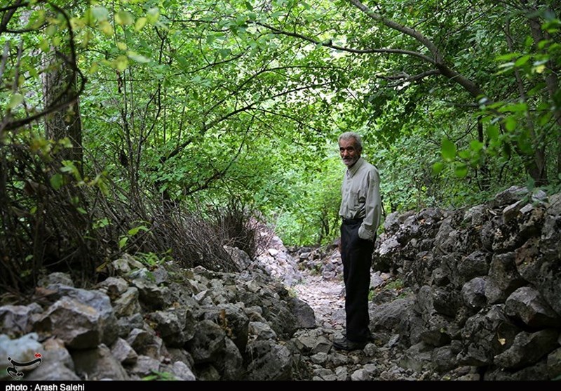زندگی روستایی , اکوتوریسم , استانداری قزوین , 