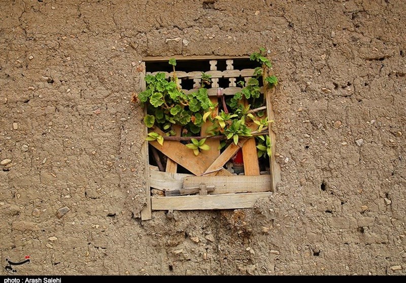 زندگی روستایی , اکوتوریسم , استانداری قزوین , 