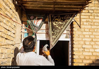 درمیان رنگها