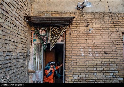 خانواده نعامی از اهالی بخش نورآبادواقع در شهرستان اهواز میباشند.