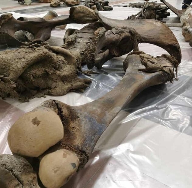 آثار باستانی | آثار تاریخی , 