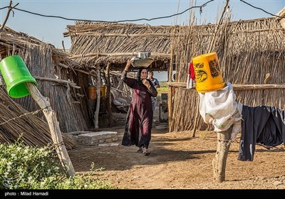 روستای ابوالبوه در جنوب غربی خوزستان و در همسایگی تالاب هور العظیم است .که شغل آنها دامداری و کشاورزی و همچنین ماهیگیری است زندگی در روستای ابوالبوه فصلی است در فصل زمستان و بهار پانزده خانوار ودرتابستان به دلیل گرمی هوا و نبود امکانات و خشکسالی مجبور میشوند که به شهر برگردند و فقط چهار خانوار در تابستان آنجا زندگی میکنند .