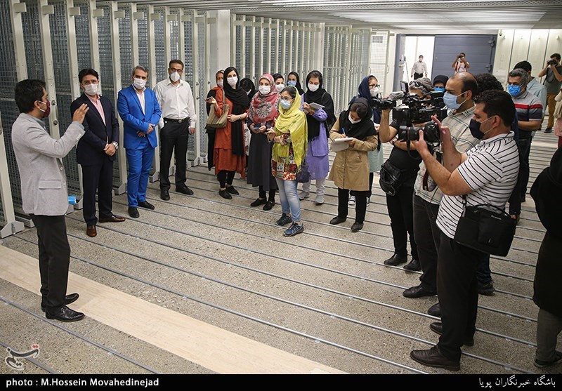 موزه هنرهای معاصر تهران , هنرهای تجسمی , 