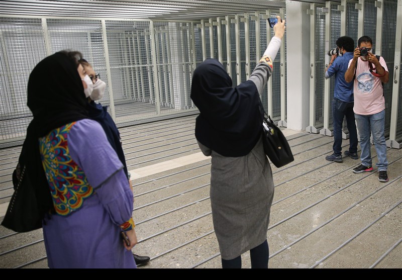 موزه هنرهای معاصر تهران , هنرهای تجسمی , 