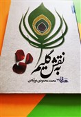 محمد محمودی نورآبادی «به نقش گلیم» را روایت کرد