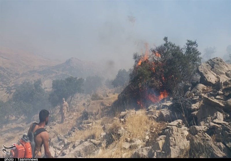 آتش سوزی جنگل ها و مراتع , 