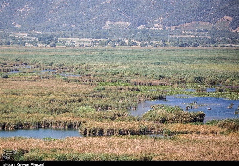 اخبار مریوان , استان کردستان , اخبار استان کردستان , پایش و نظارت در محیط زیست , صنایع آلاینده محیط زیست , عوارض آلایندگی محیط زیست , فراکسیون محیط زیست مجلس , ستاد توسعه اقتصاد دانشبنیان آب، اقلیم و محیط زیست , استاندار کردستان ,