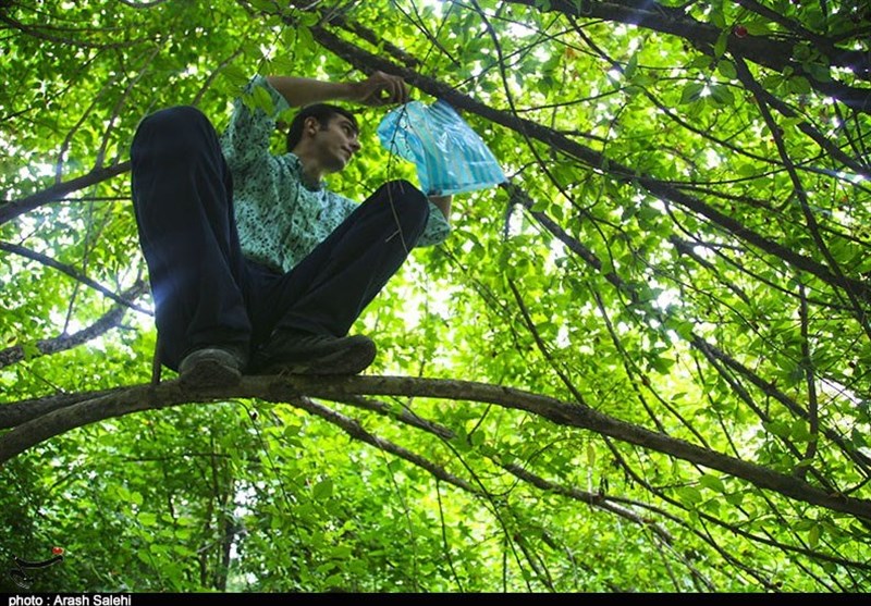 کشاورزی , استانداری قزوین , 