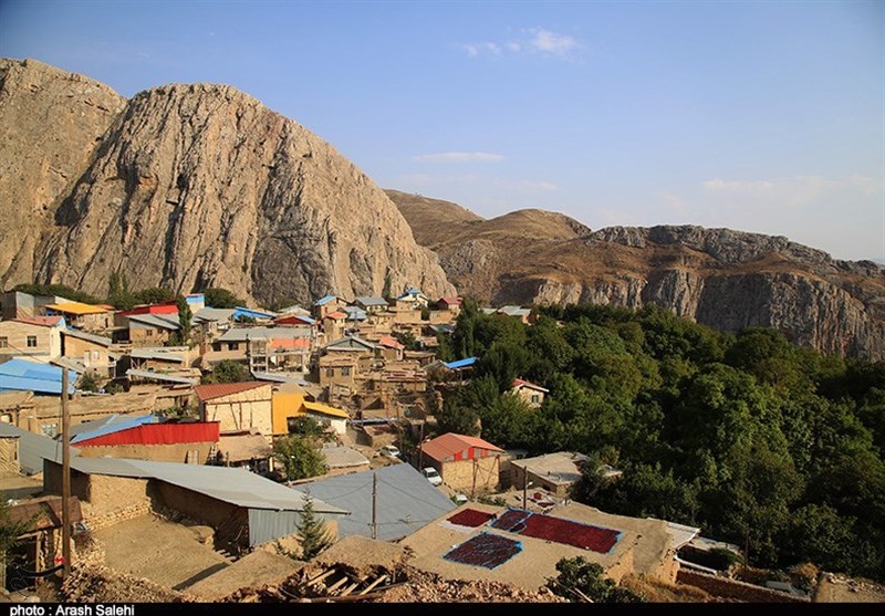 کشاورزی , استانداری قزوین , 