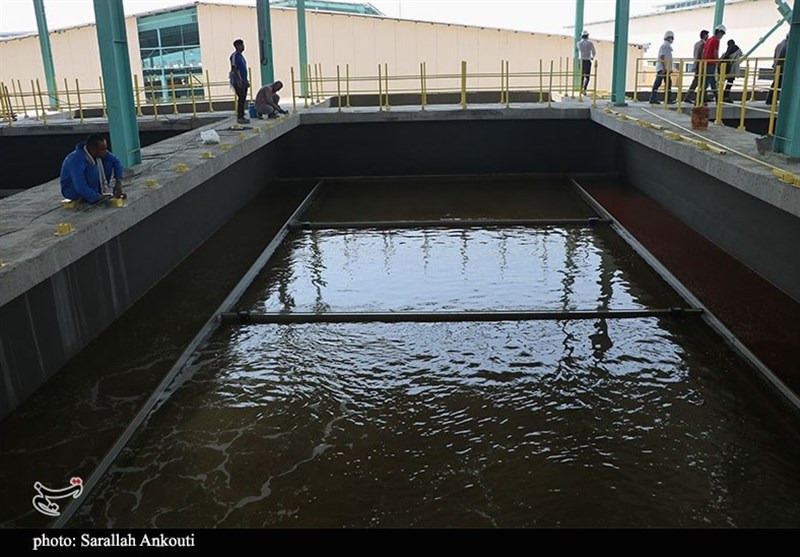 استان کرمان , خلیج فارس , 