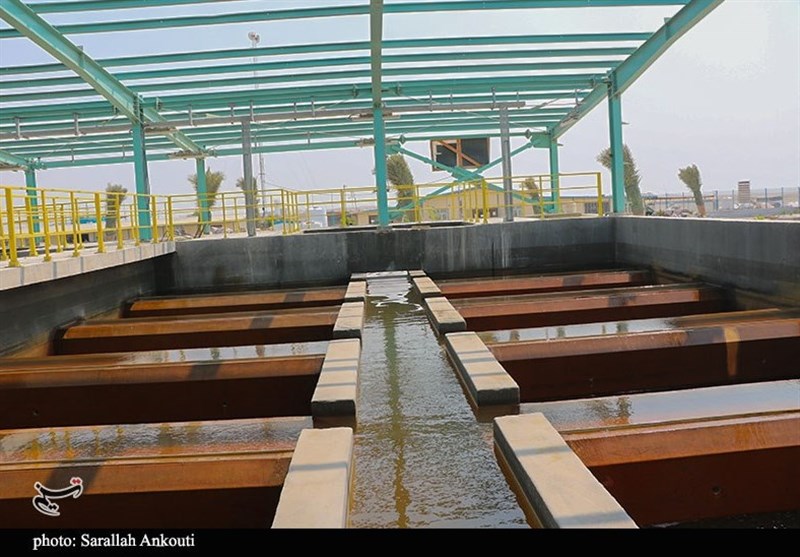 استان کرمان , خلیج فارس , 