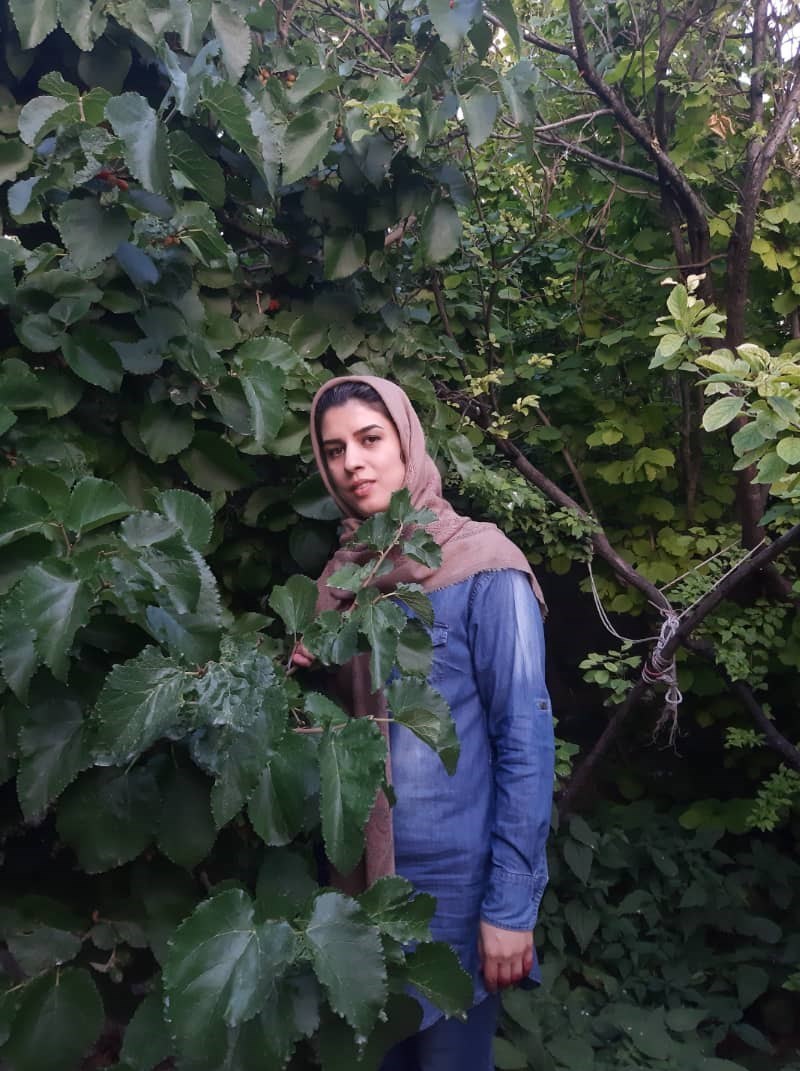 اهدای  عضو , حوادث جاده‌ای , بیمارستان , 