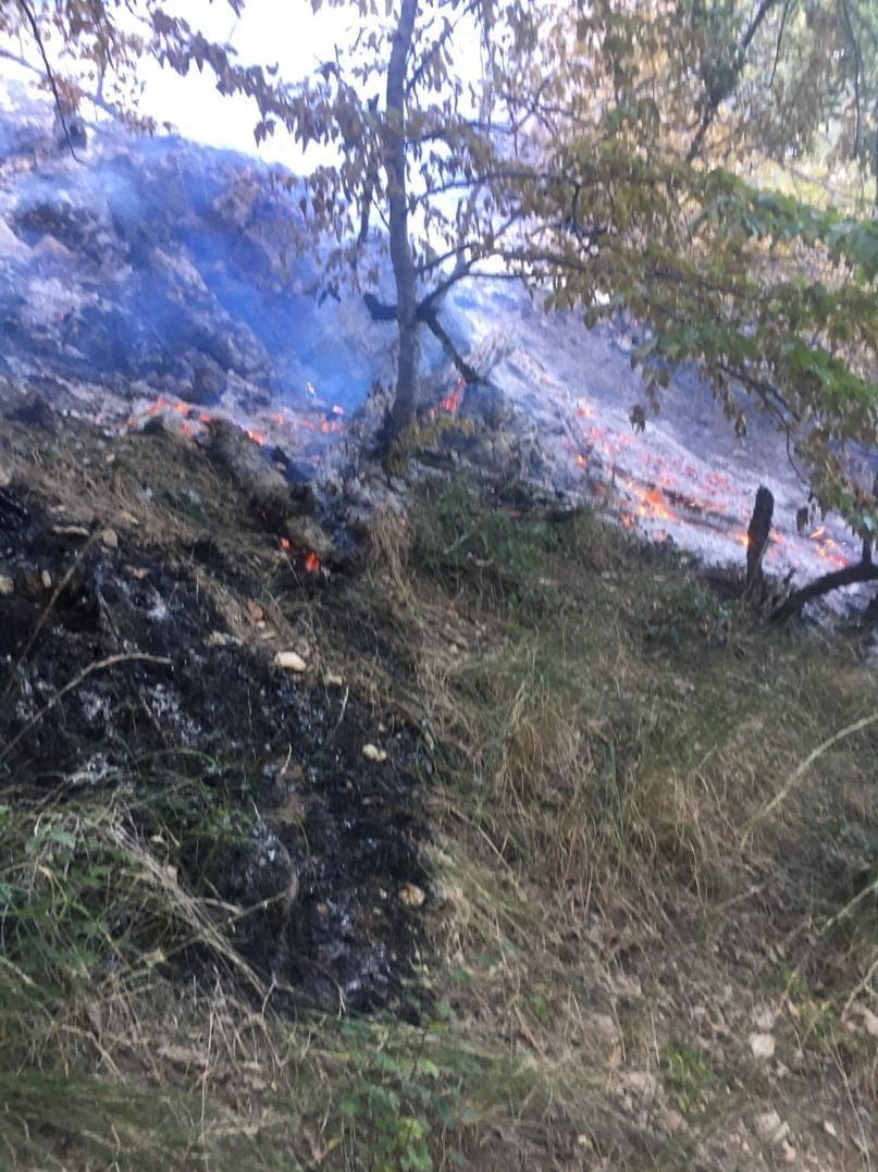 آتش سوزی جنگل ها و مراتع ,