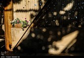 باغ موزه دفاع مقدس آبادان