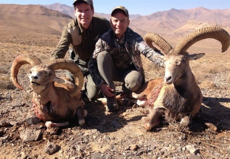 سازمان محیط زیست , شکارفروشی , شکار ,