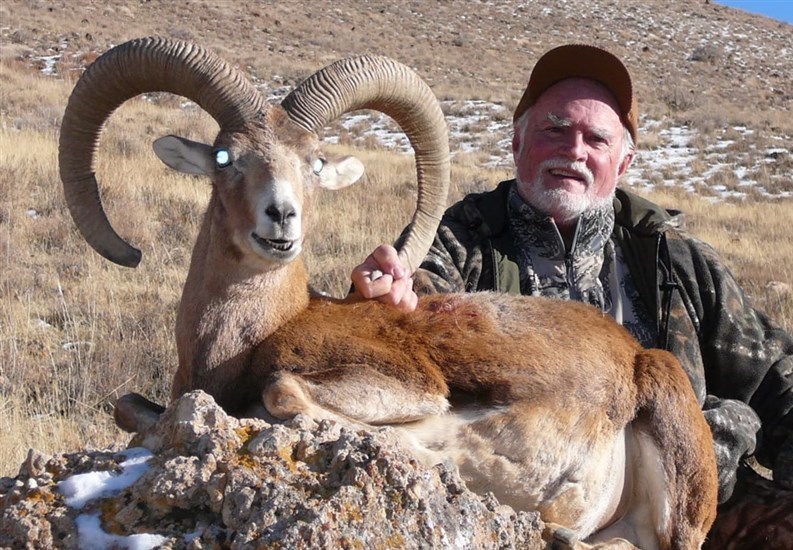 سازمان محیط زیست , شکارفروشی , شکار ,