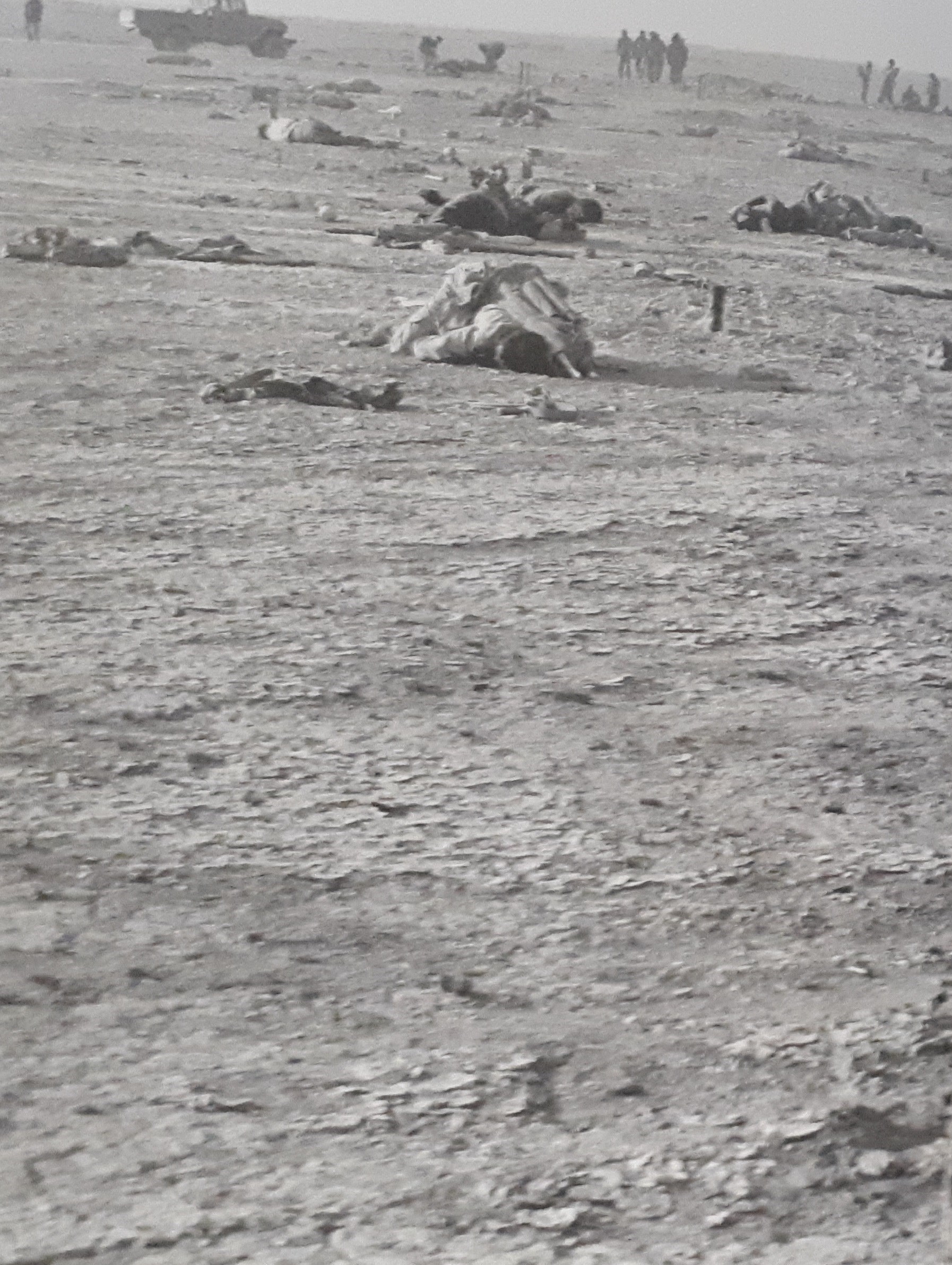 هفته دفاع مقدس , شهدای دفاع مقدس , 