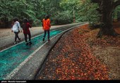 ظرفیت‌های طلایی گردشگری گلستان گرفتار تصمیم‌های جزیره‌ای