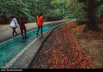 ظرفیت‌های طلایی گردشگری گلستان گرفتار تصمیم‌های جزیره‌ای