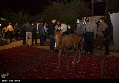 روستای گردشگری طویبه - خوزستان