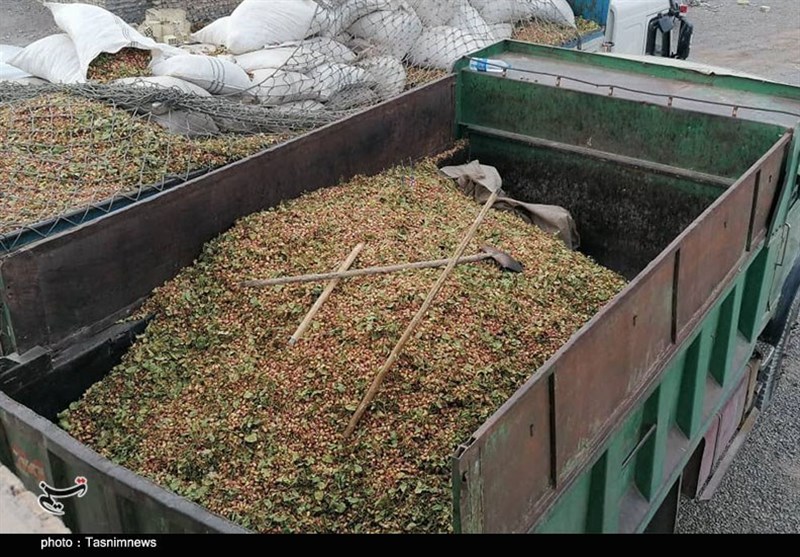 کشفیات پلیس , عملیات پلیس ,