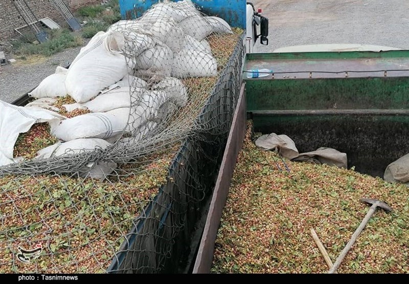 کشفیات پلیس , عملیات پلیس ,