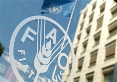 فائو: افغانستان در پایین‌ترین سطح آب و برف دو دهه اخیر قرار دارد