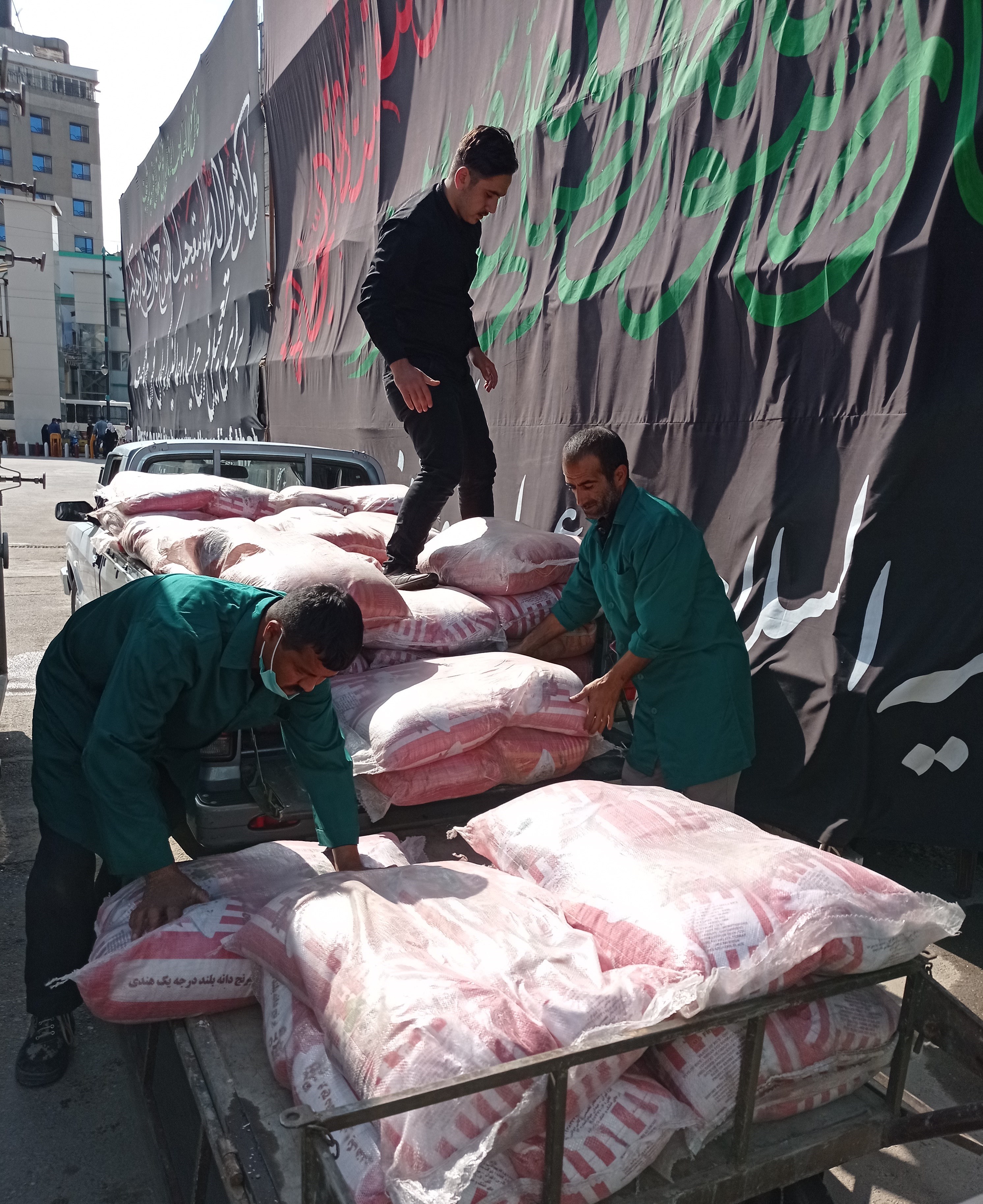 امام رضا (ع) , اربعین , 