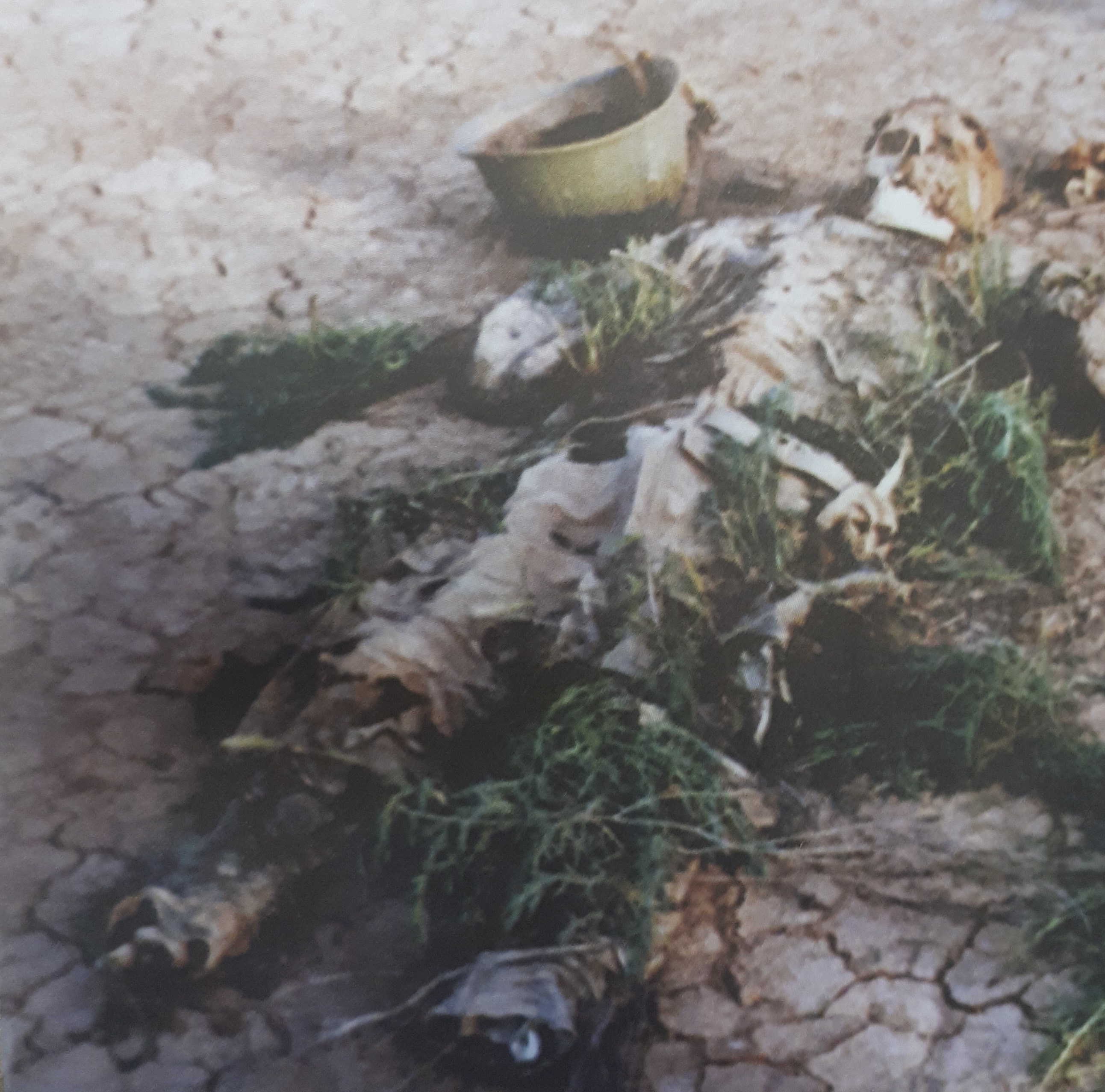 دفاع مقدس , شهدای دفاع مقدس , شهید ,