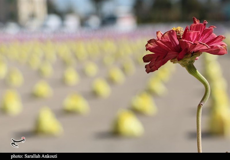 استان کرمان , کمک مؤمنانه , 