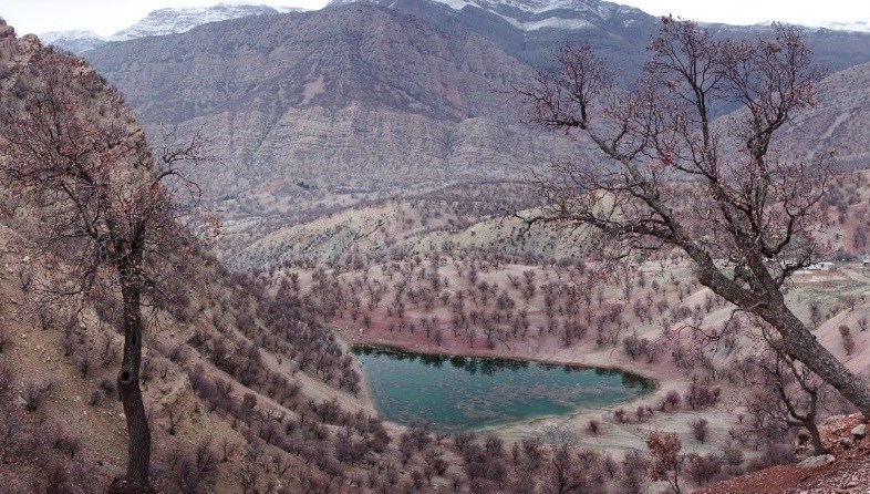 مستند , شبکه مستند , تلویزیون , طبیعت , سینمای ایران , 