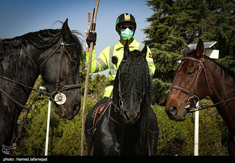 رژه "اسواران" یگان‌ویژه نیروی انتظامی در خیابان ولیعصر (عج)