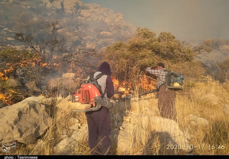 آتش سوزی جنگل ها و مراتع , 