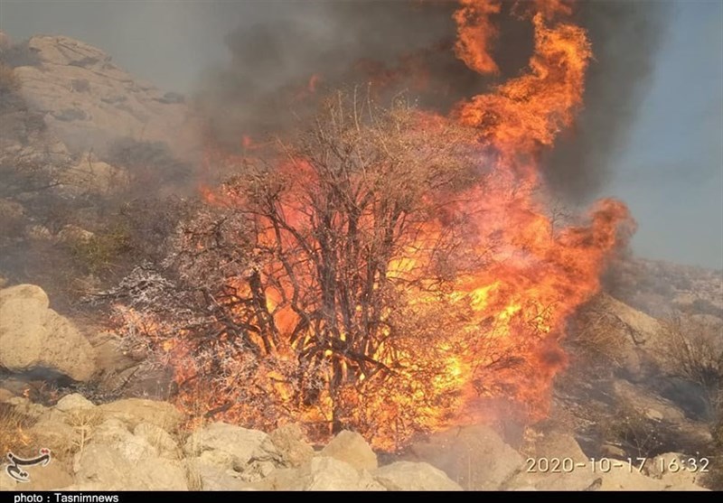 آتش سوزی جنگل ها و مراتع , 