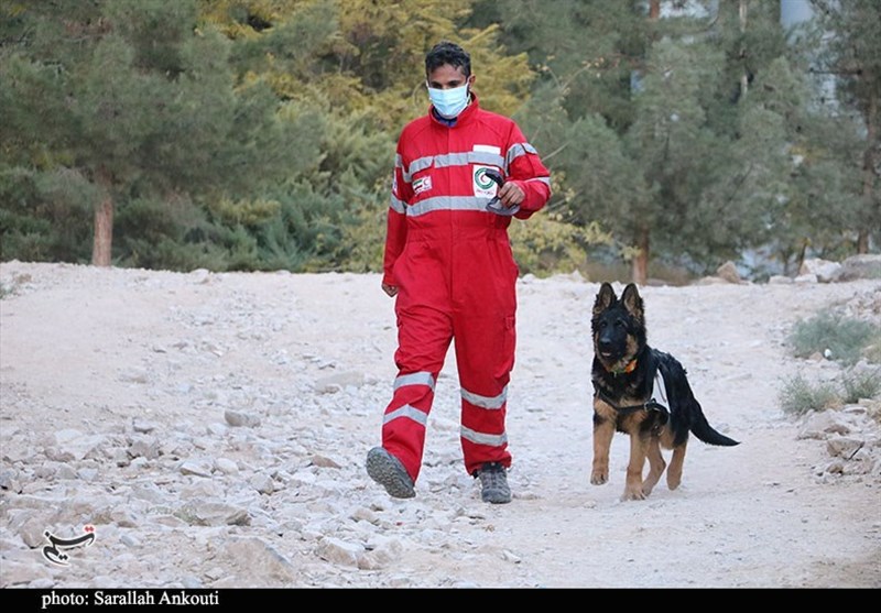 استان کرمان , امدادرسانی , 