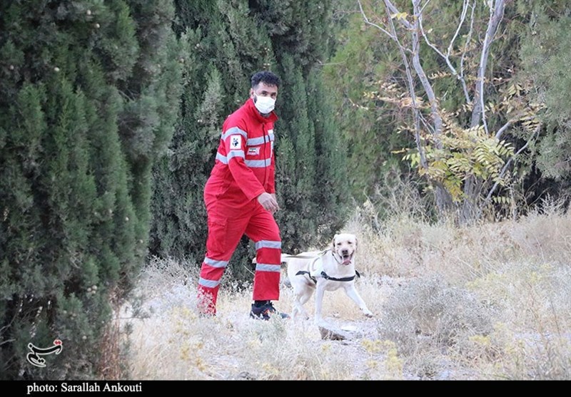 استان کرمان , امدادرسانی , 