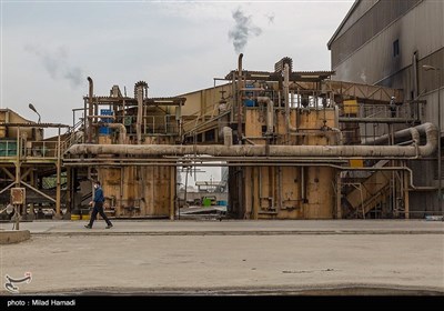 برداشت نیشکر از مزارع نیشکر دعبل خزاعی- خوزستان