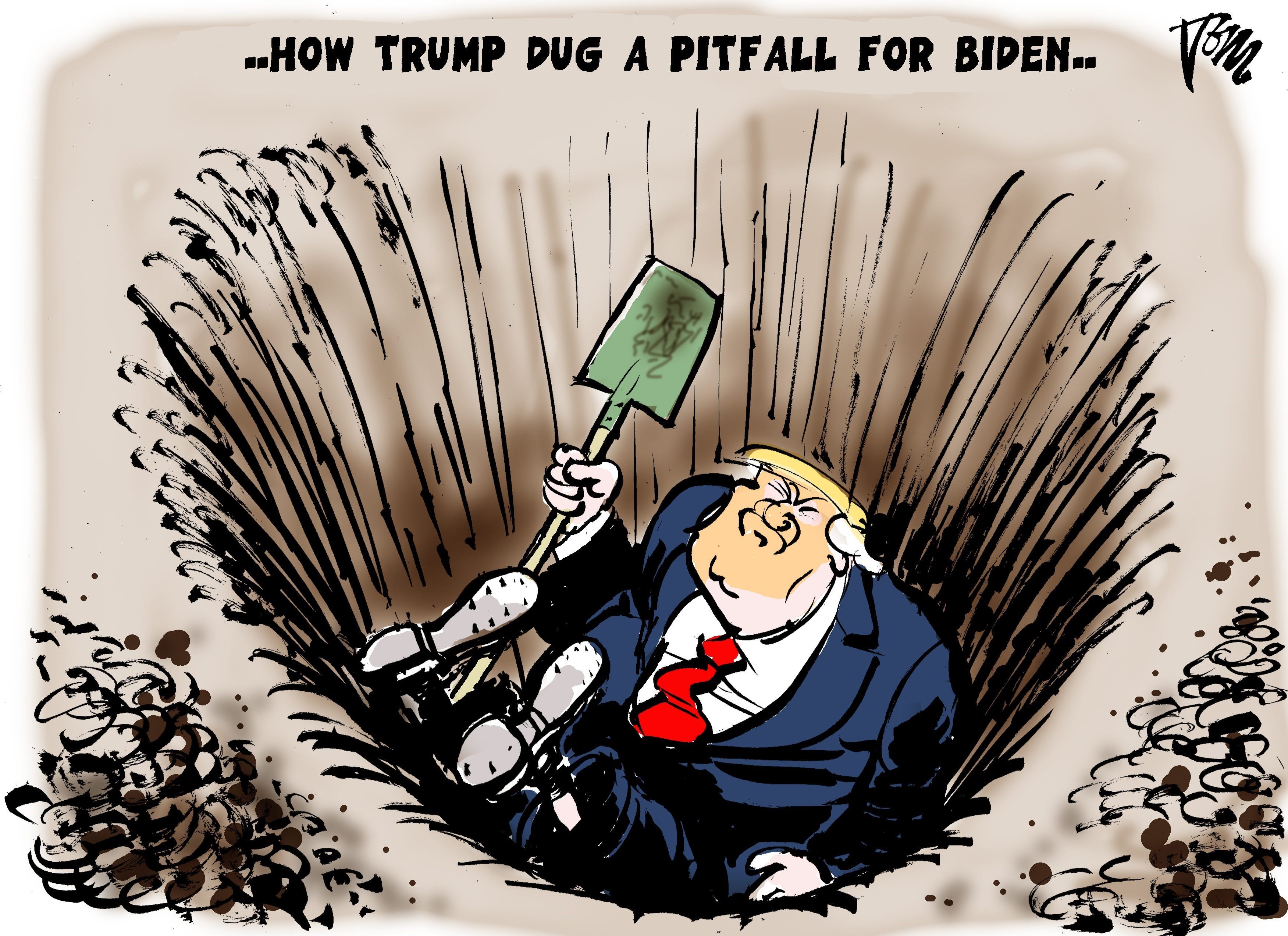 دونالد ترامپ , هنرهای تجسمی , کاریکاتور , عکس , 